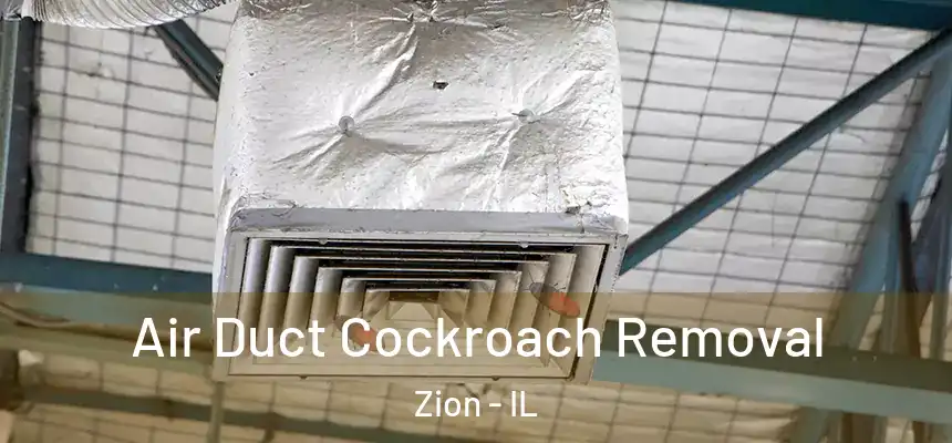  Air Duct Cockroach Removal Zion - IL