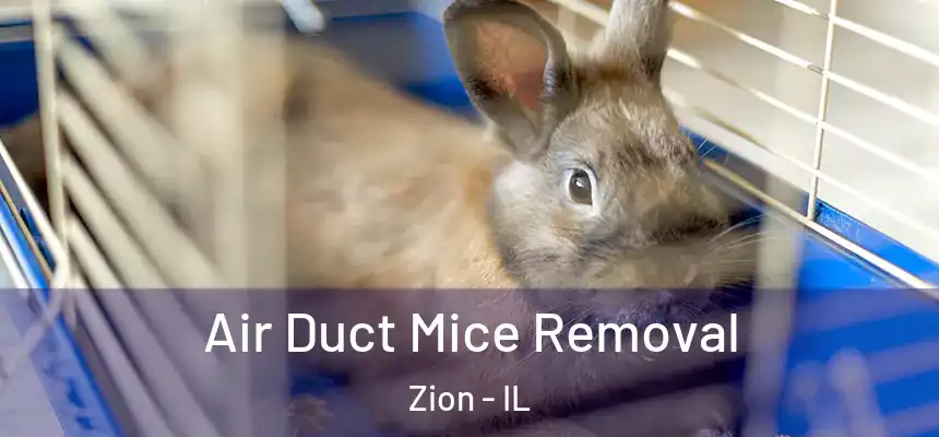  Air Duct Mice Removal Zion - IL