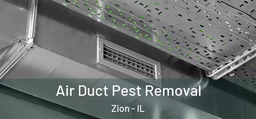 Air Duct Pest Removal Zion - IL