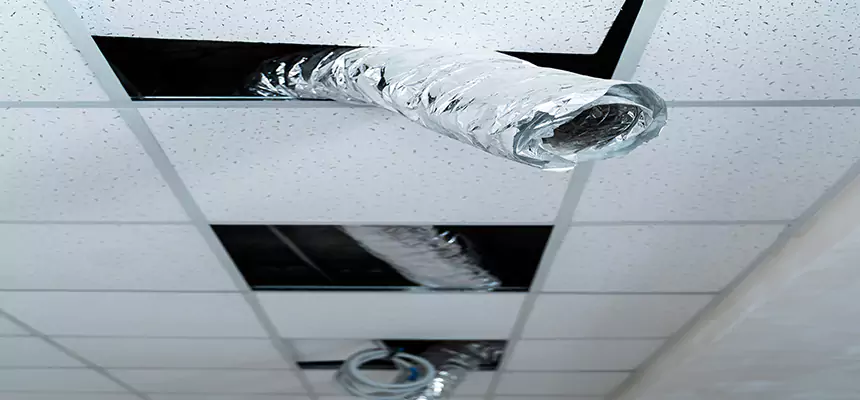 Our Air Duct Pet Hair Removal Services in Zion, IL