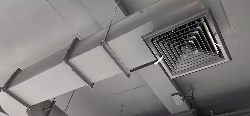 Restorative Allergy Relief Vent Cleaning – Coil, Blower & Housing Detail in Zion