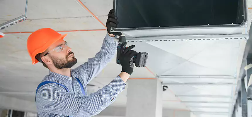 Roof Cap & Exterior Hood Lint Buildup Removal – Zion