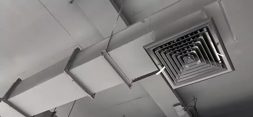 Our Rodent Droppings In Vents Services in Zion, IL