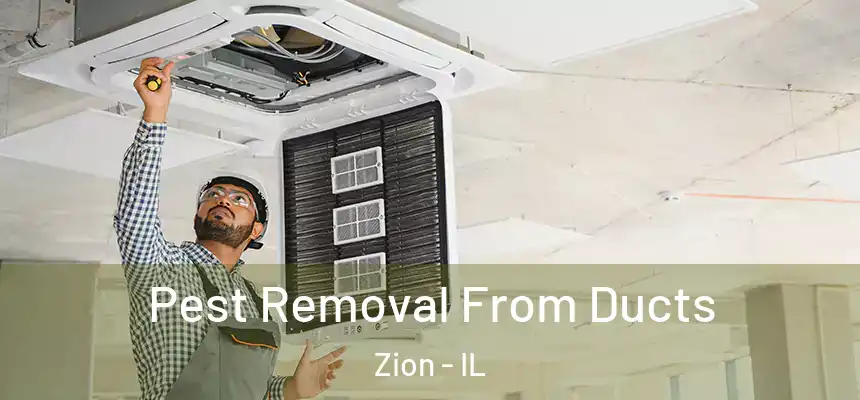  Pest Removal From Ducts Zion - IL