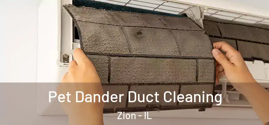 Pet Dander Duct Cleaning Zion - IL