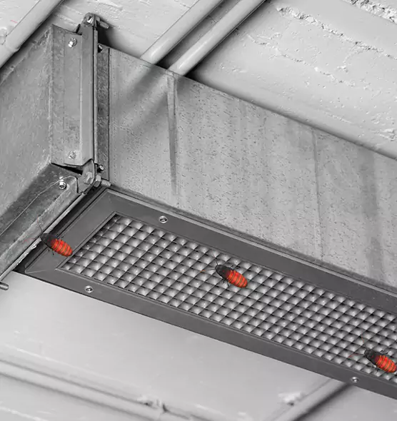 About Air Duct Cockroach Removal in Zion, IL