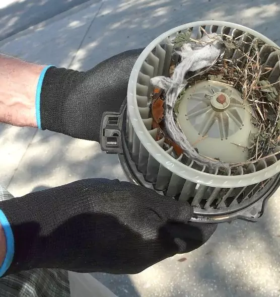 About Air Duct Mice Removal in Zion, IL