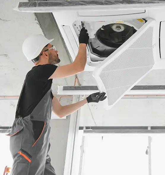 About Air Duct Rodent Removal in Zion, IL