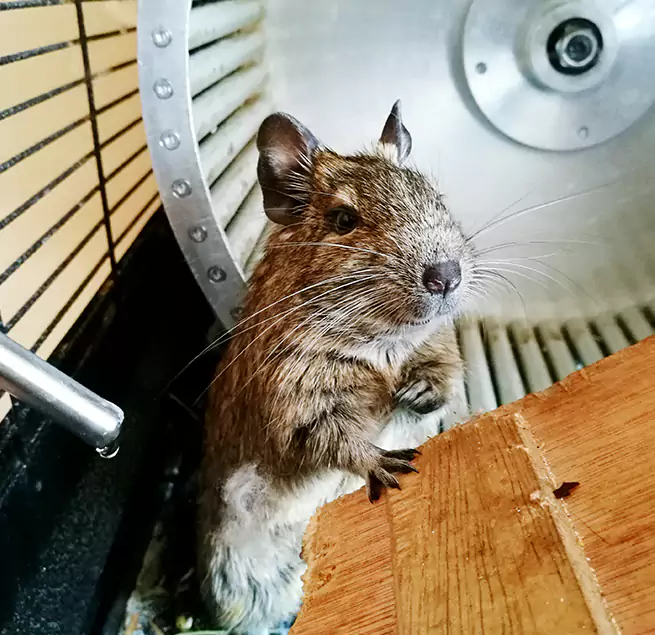 Why Homeowners & Businesses Trust Us Zion, IL