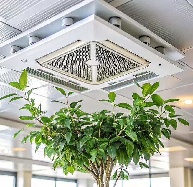 Why Homeowners & Businesses Trust Us in Zion, IL?