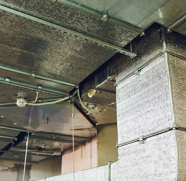 Why Homeowners & Businesses Trust Us in Zion, IL?